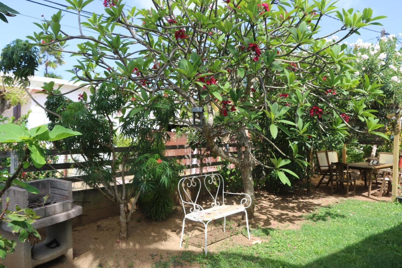 Le Colibri Et Le Frangipanier Διαμέρισμα La Trinite Εξωτερικό φωτογραφία